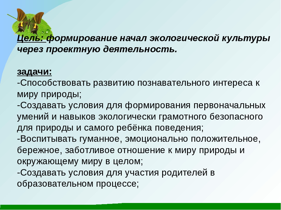 1 использование метода проекта в процессе формирования экологической культуры младших школьников