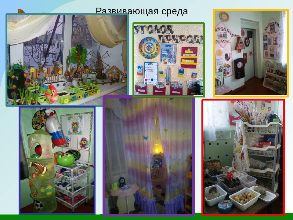 Самоанализ "Формирование экологической культуры посредством проектной деятельности"