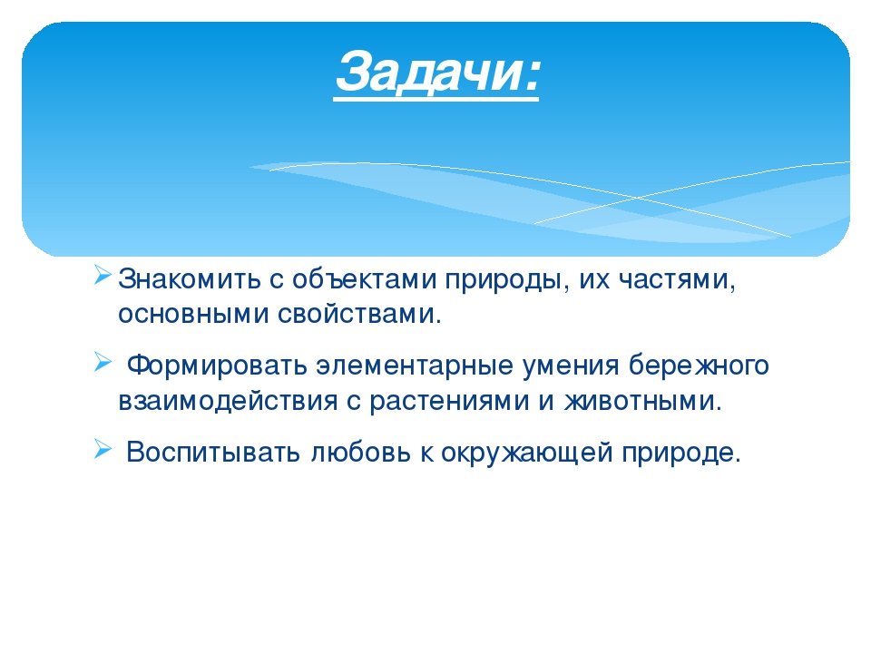 "Экологическое образование дошкольника через дидактические игры экологического содержания" Презентация.