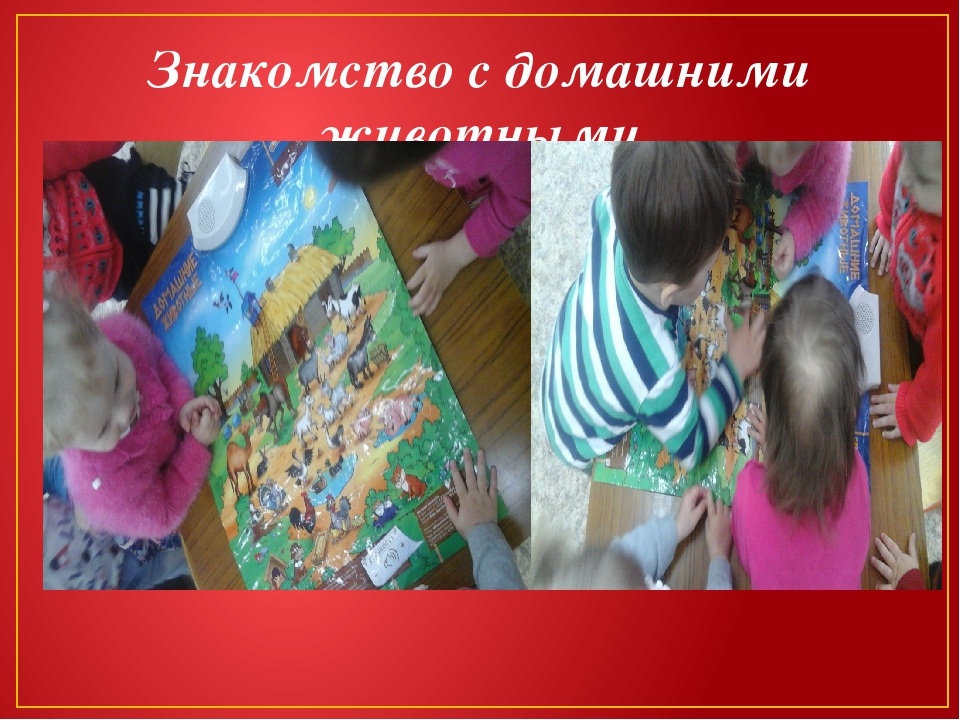 "Экологическое образование дошкольника через дидактические игры экологического содержания" Презентация.