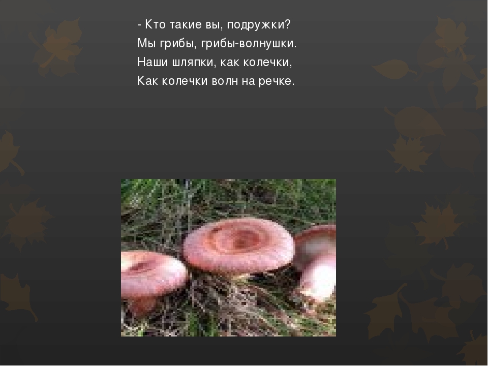 Презентация по окружающему миру