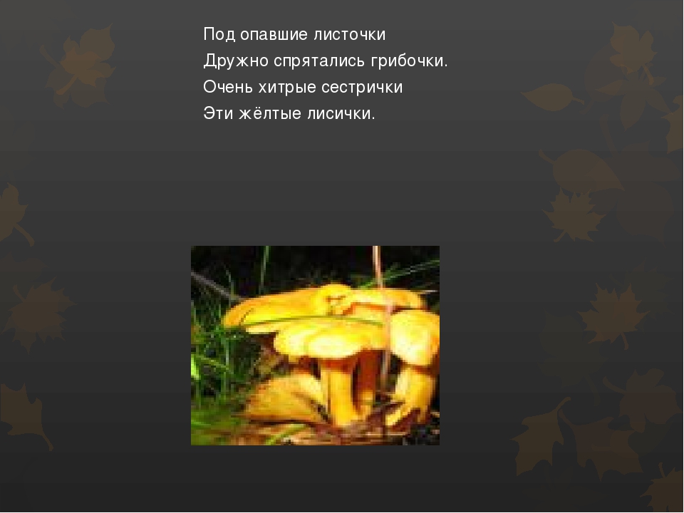 Презентация по окружающему миру