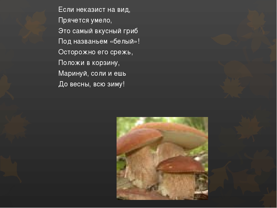 Презентация по окружающему миру