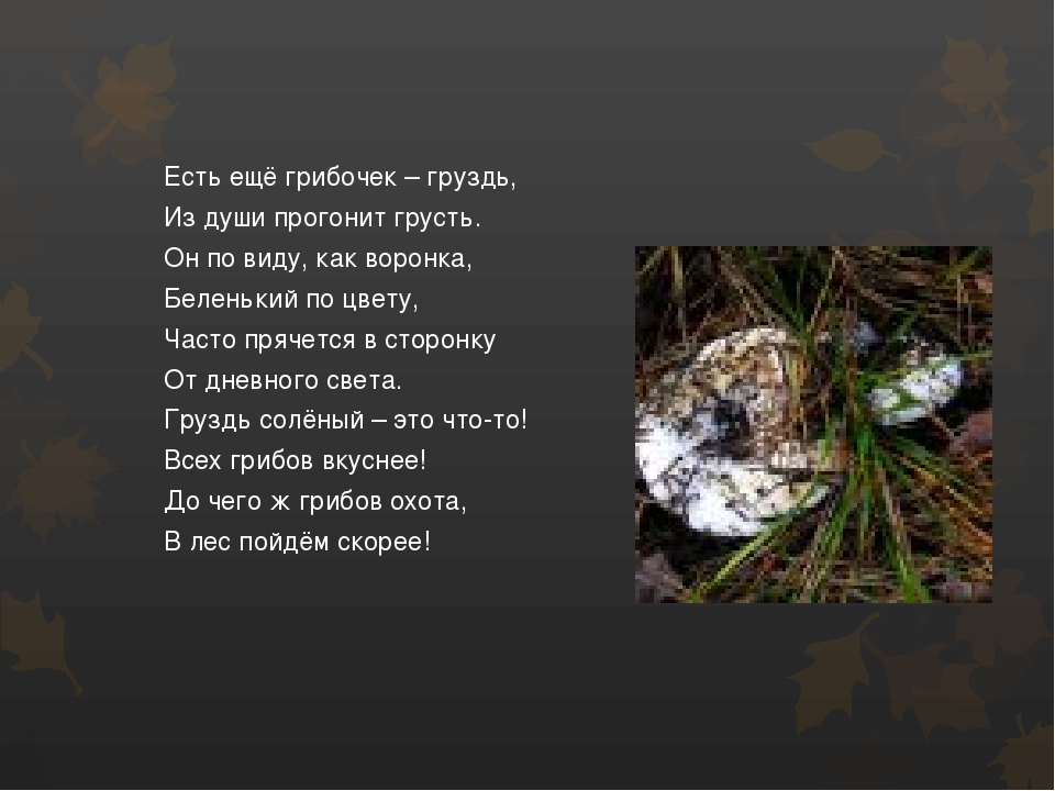 Презентация по окружающему миру