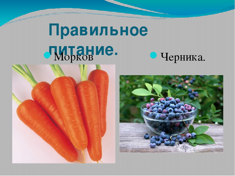 Презентация исследовательского проекта "Почему глаза не мерзнут зимой?" (в КПП)