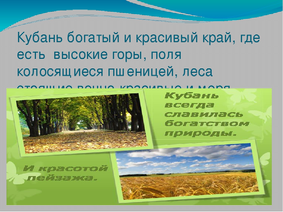 Краснодарскому краю 80 лет