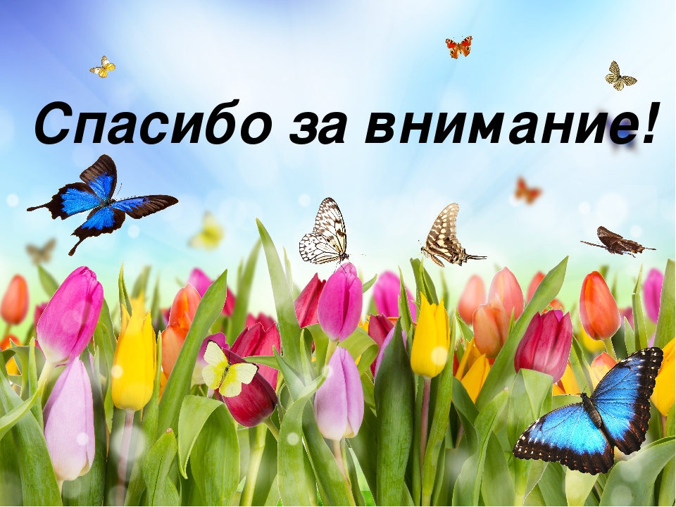 Презентация на тему: "Организация работы с родителями"