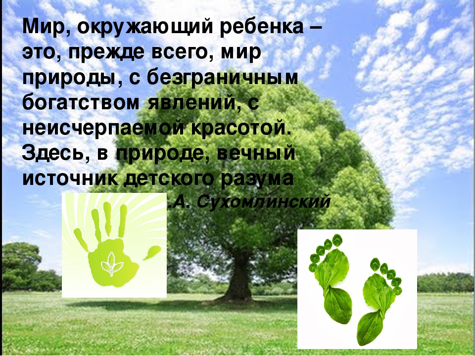 Экологическое воспитание детей дошкольного возраста