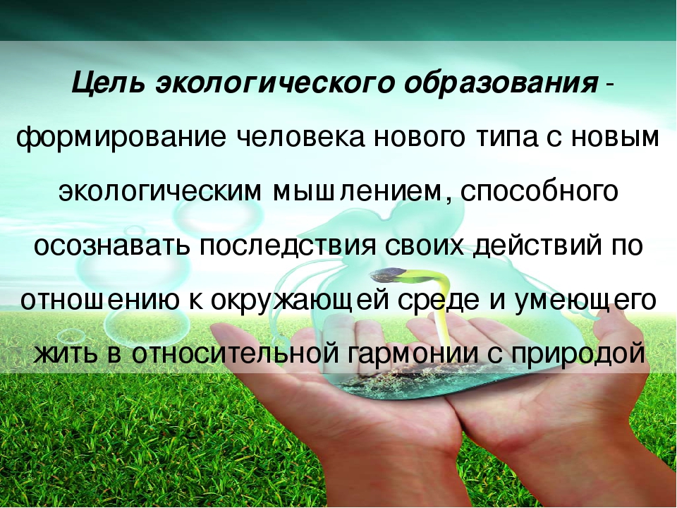 Экология и ее значение для общества. Цель экологического образования. Цели и задачи экологического образования. Основная цель экологического образования. Цель экологического образования детей.