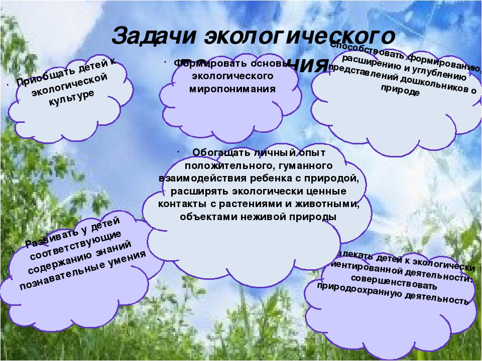 Развитие природы. Экологическое воспитание задания для дошкольников. Экологические задачи для дошкольников. Экологические задачки для детей дошкольного возраста. Задачи экологического лагеря.