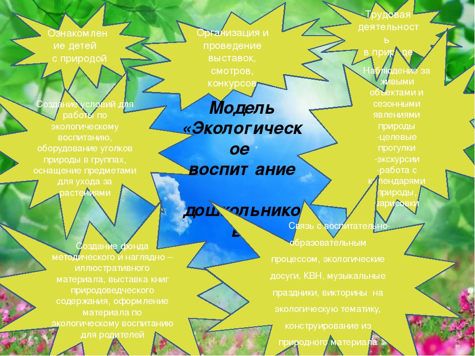 Экологическое воспитание детей дошкольного возраста