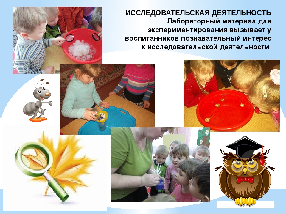 Экологическое воспитание детей дошкольного возраста
