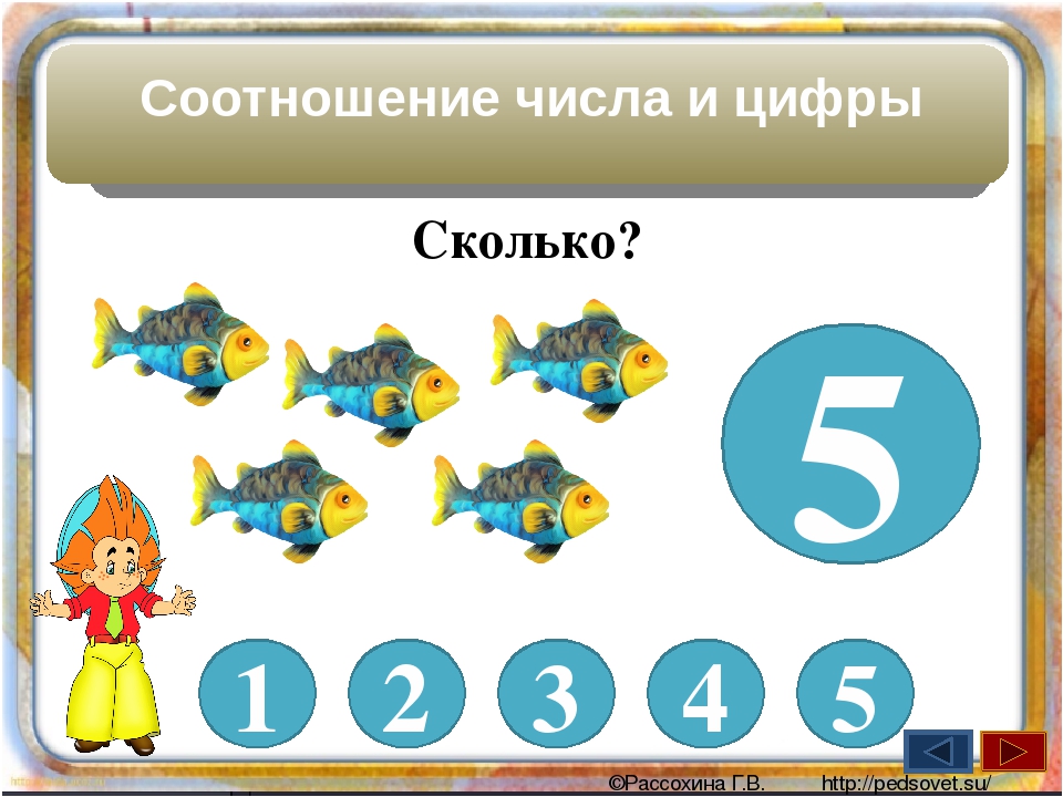 Количество 5. Соотношение числа и цифры. Соотнести цифры и предметы. Соотнести число и цифру. Соотношение числа и количества предметов.