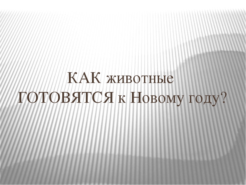 "Как животные готовятся к новому году"