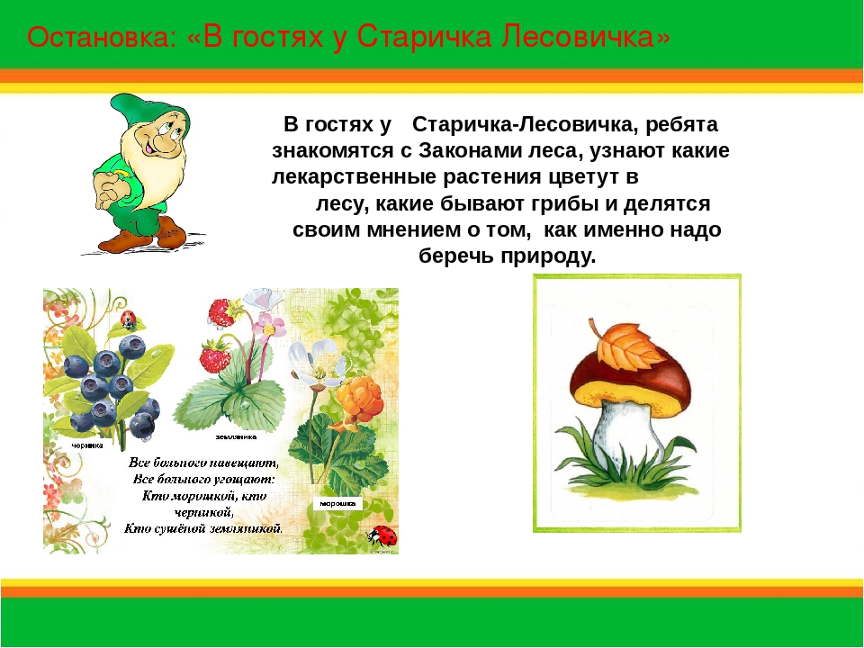 Презентация на тему "Эколята-дошкалята"