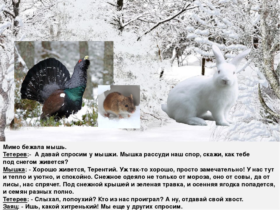 Презентация к сказке "Зачем зимой снег?"