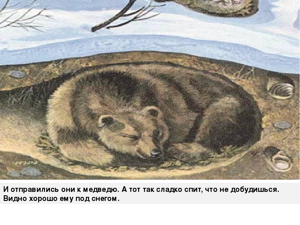 Презентация к сказке "Зачем зимой снег?"