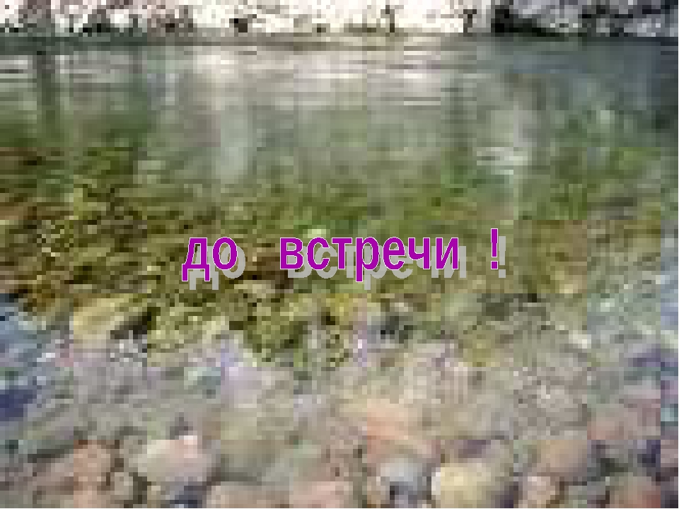 Презентация " Свойства воды "