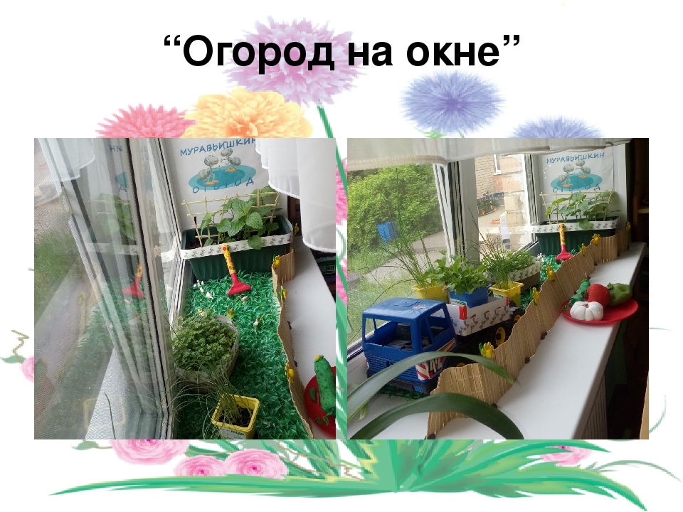 Презентация "Отчет о летней оздоровительной работе во второй младшей группе"