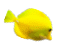 Picture 24