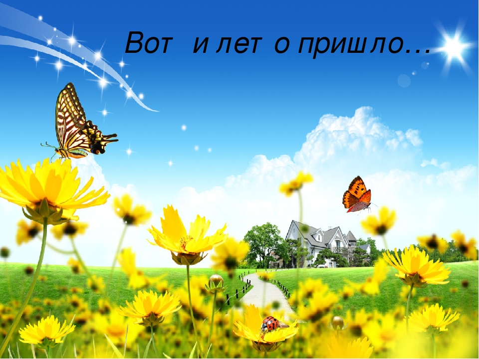 Презентация "Лето к нам пришло"