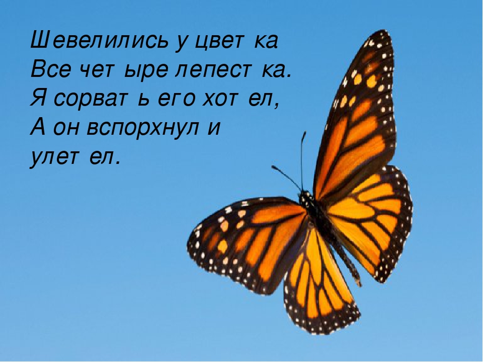 Презентация "Лето к нам пришло"