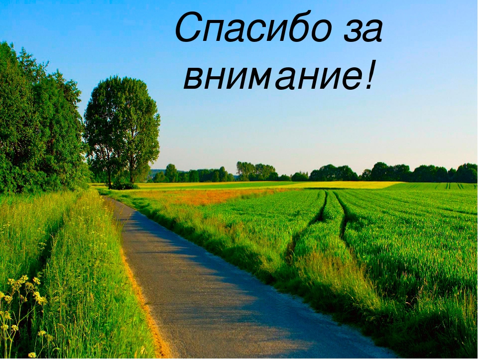 Презентация "Лето к нам пришло"