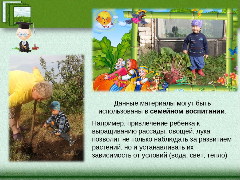 «Развитие познавательных процессов у старших дошкольников через экспериментальную деятельность»
