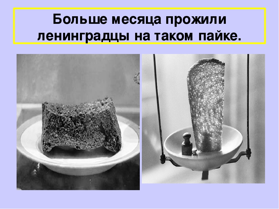 Презентация "Старичок - лесовичок"