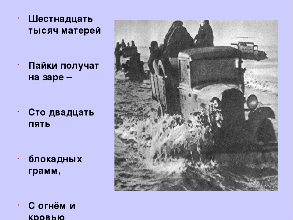 Презентация "Старичок - лесовичок"