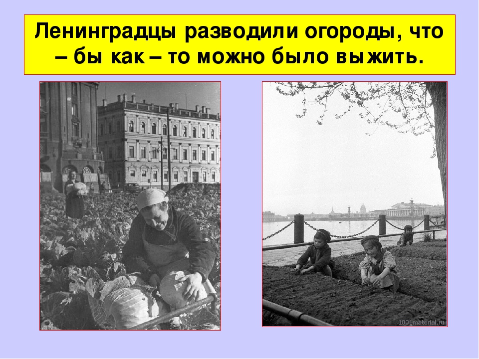 Презентация "Старичок - лесовичок"