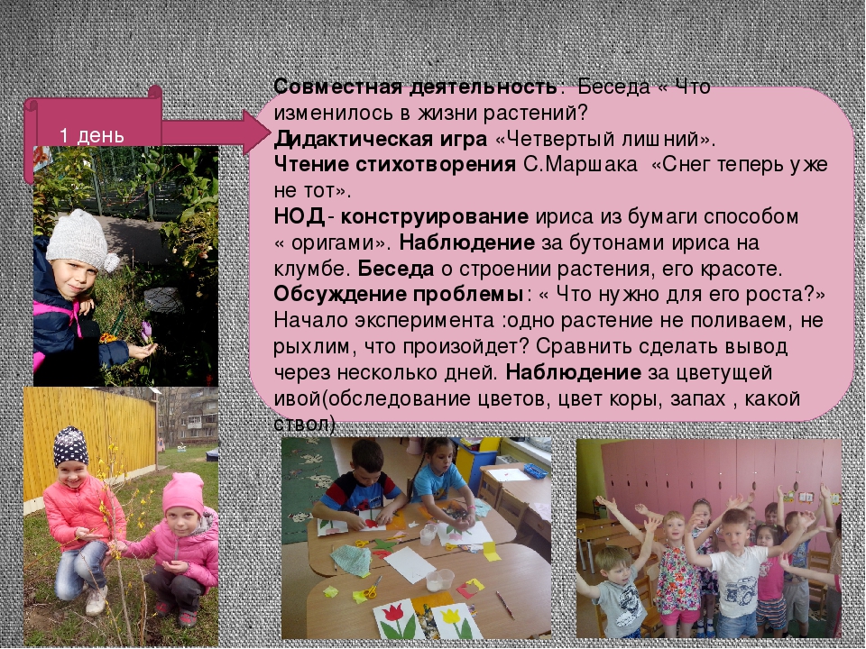 Презентация проекта "Цветные улыбки весны"