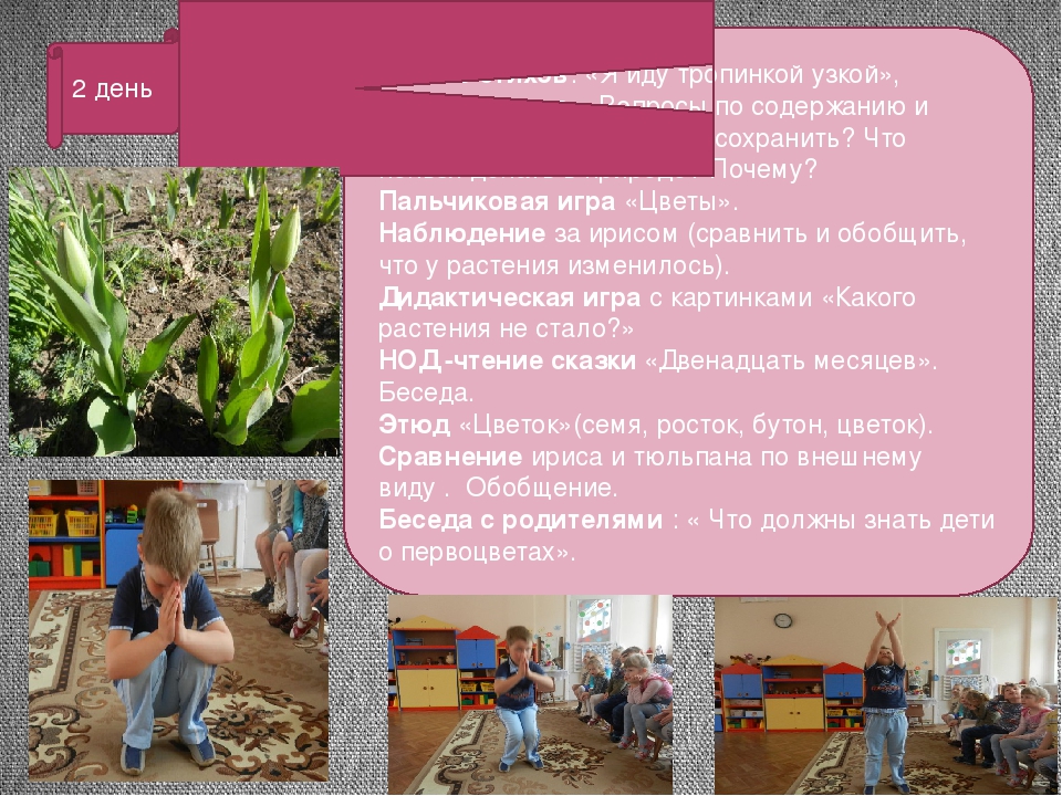 Презентация проекта "Цветные улыбки весны"