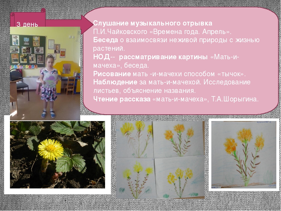 Презентация проекта "Цветные улыбки весны"