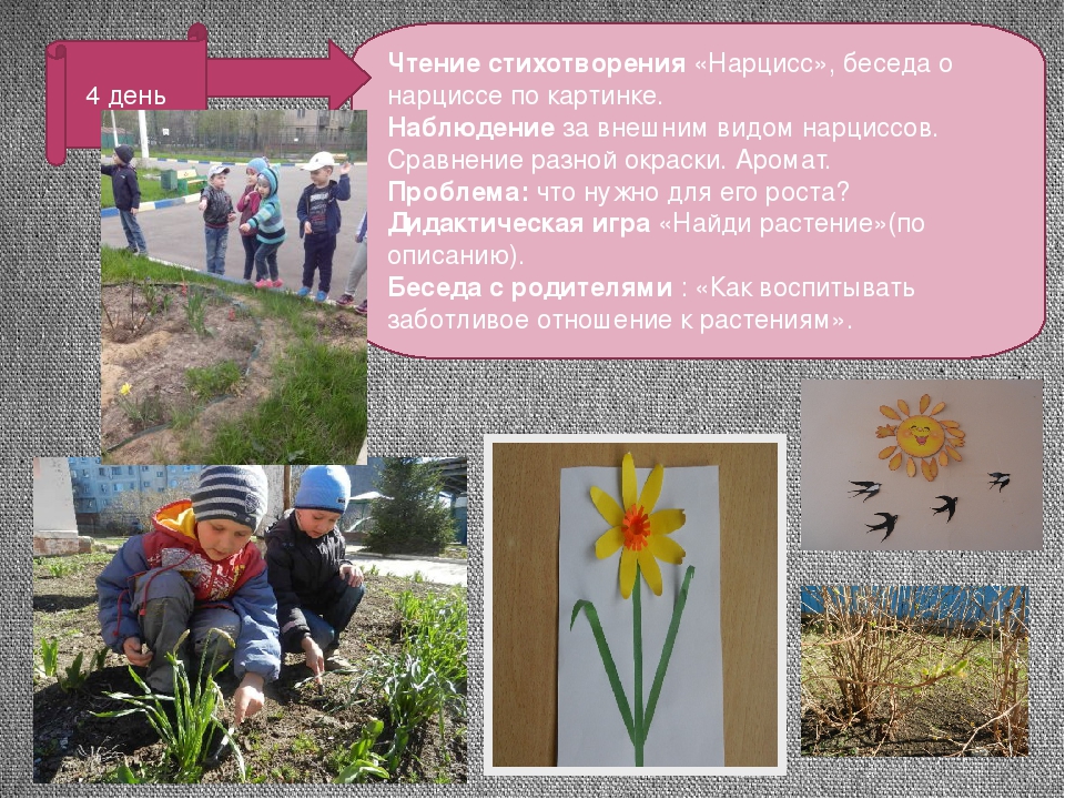 Презентация проекта "Цветные улыбки весны"
