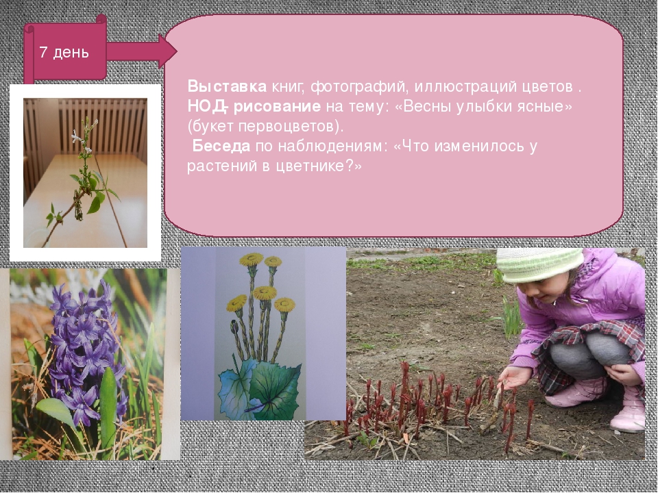 Презентация проекта "Цветные улыбки весны"