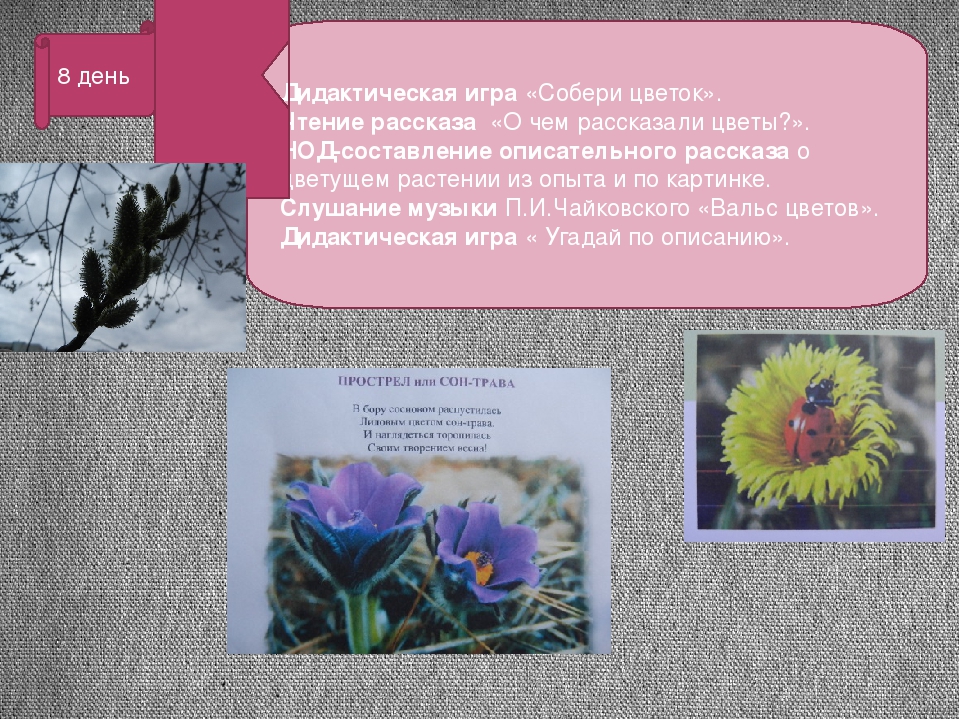Презентация проекта "Цветные улыбки весны"