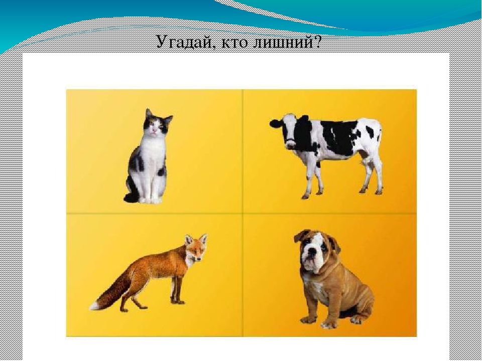 Презентация мастер-класса « Использование дидактической игры в развития связной речи у детей дошкольного возраста»