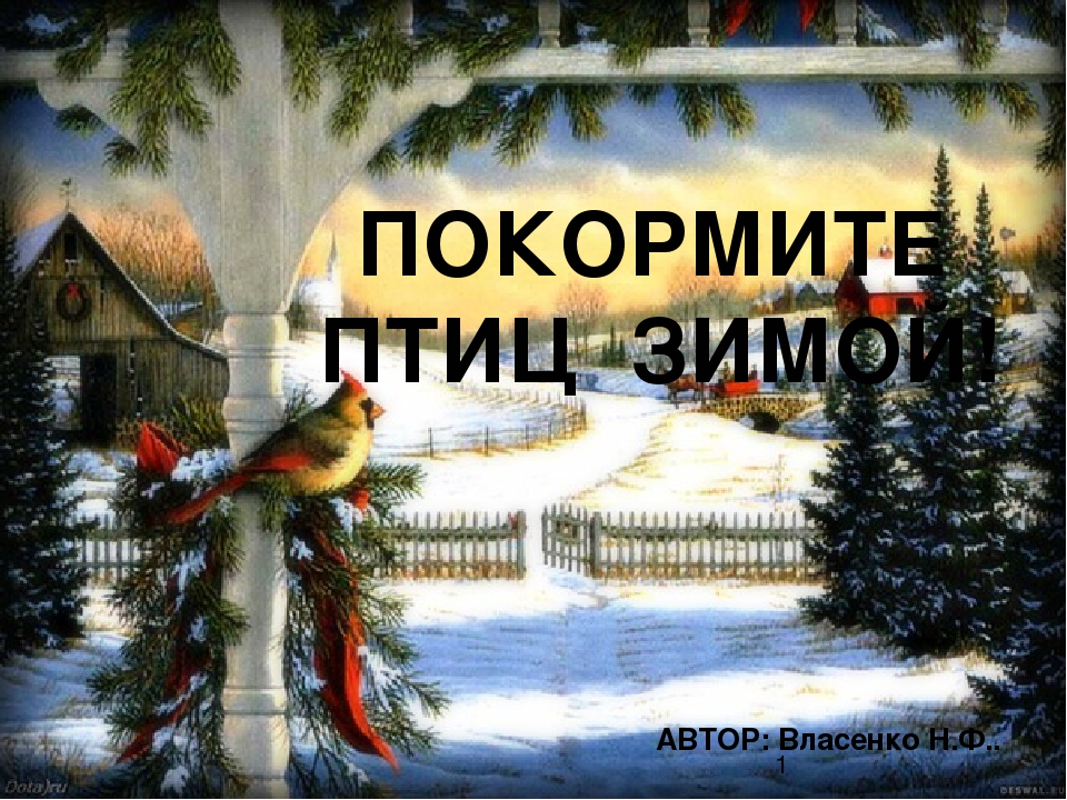 Презентация "Покормите птиц зимой"
