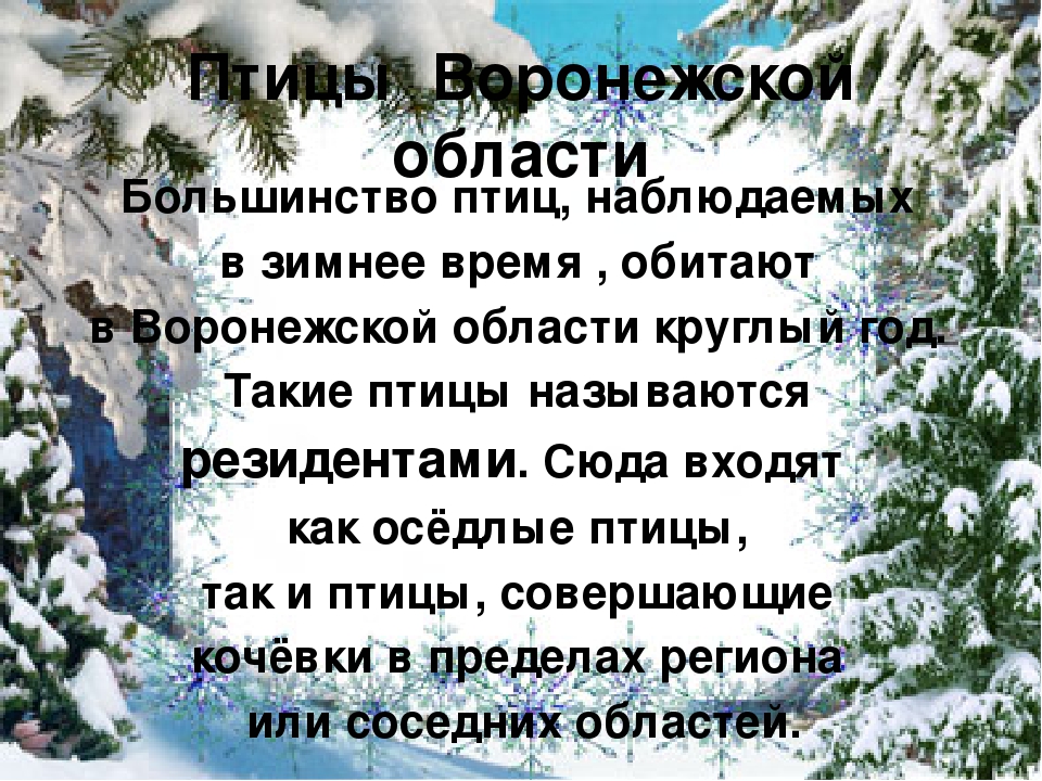 Презентация "Покормите птиц зимой"