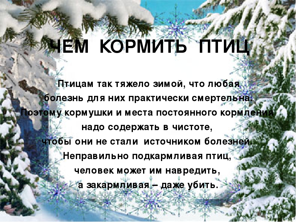 Презентация "Покормите птиц зимой"