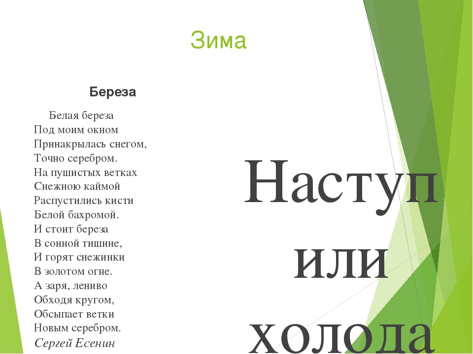 Презентация на тему "Времена года"
