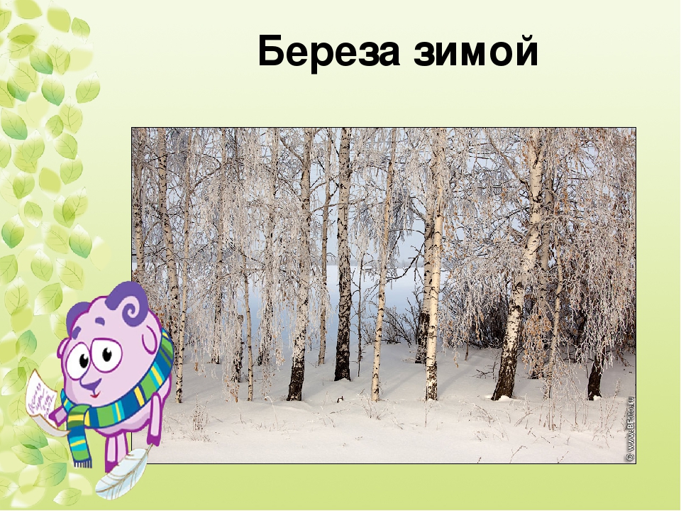 Мультимедийная презентация " Люблю березку русскую"