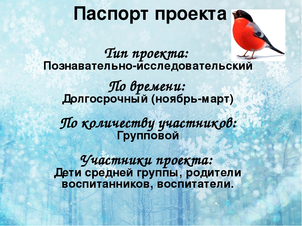 Презентация по экологии " покормите птиц зимой