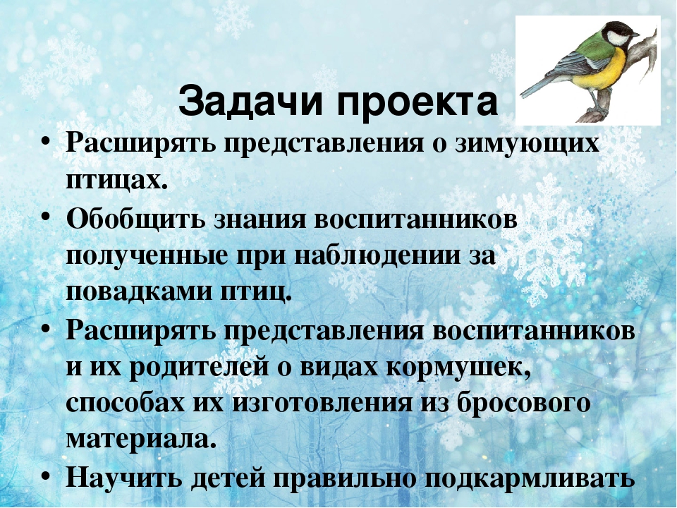 Презентация по экологии " покормите птиц зимой