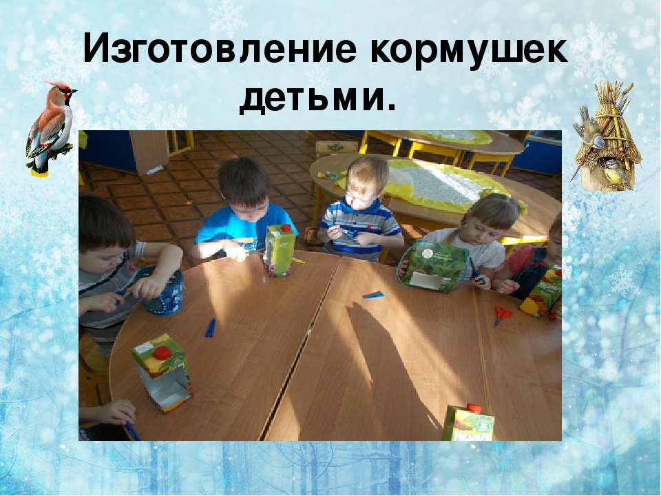 Презентация по экологии " покормите птиц зимой