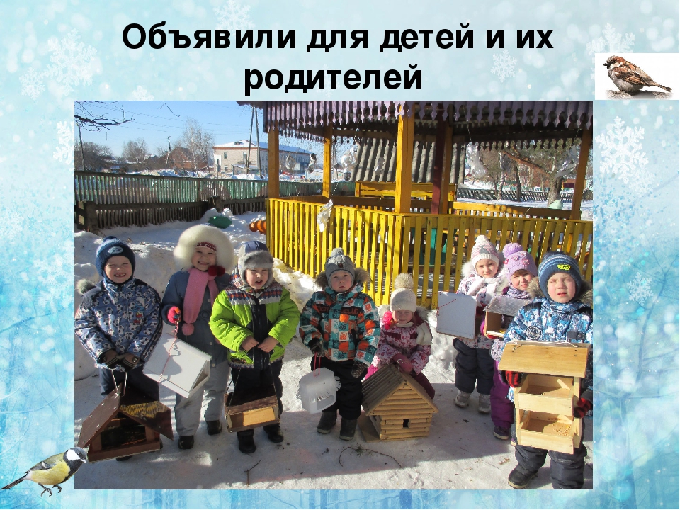 Презентация по экологии " покормите птиц зимой