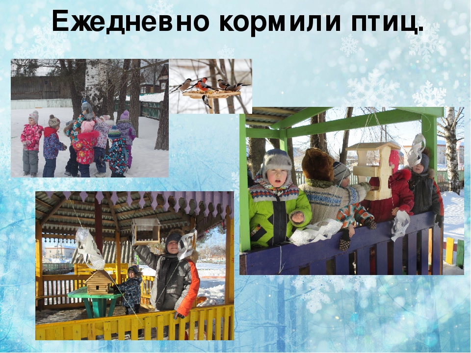 Презентация по экологии " покормите птиц зимой