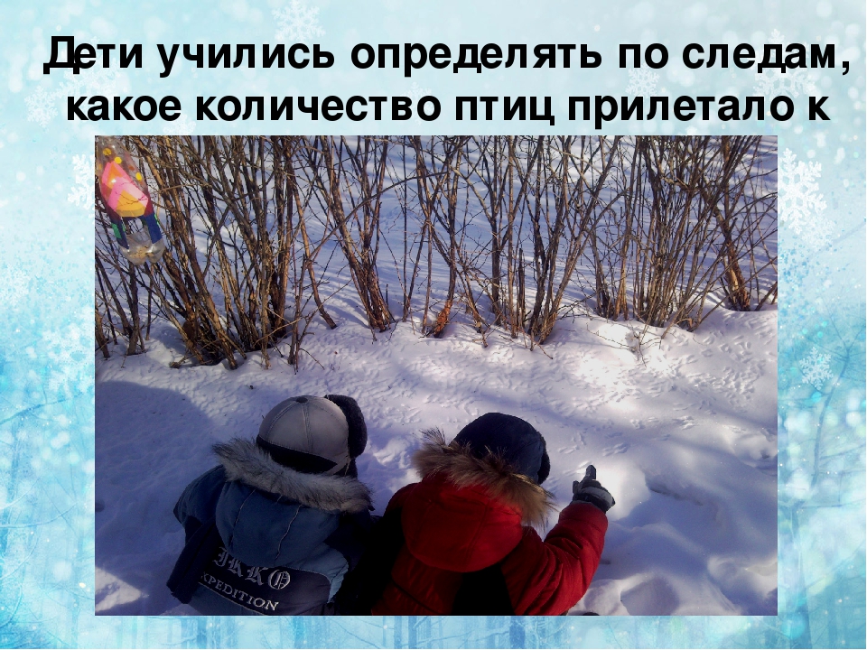 Презентация по экологии " покормите птиц зимой