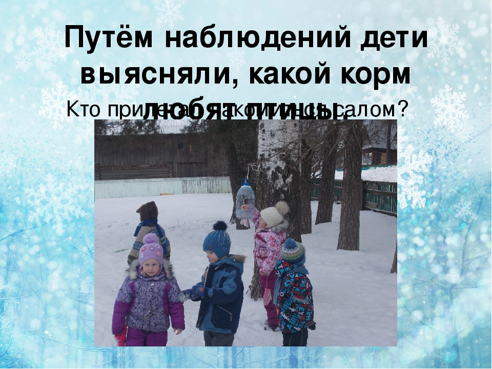 Презентация по экологии " покормите птиц зимой